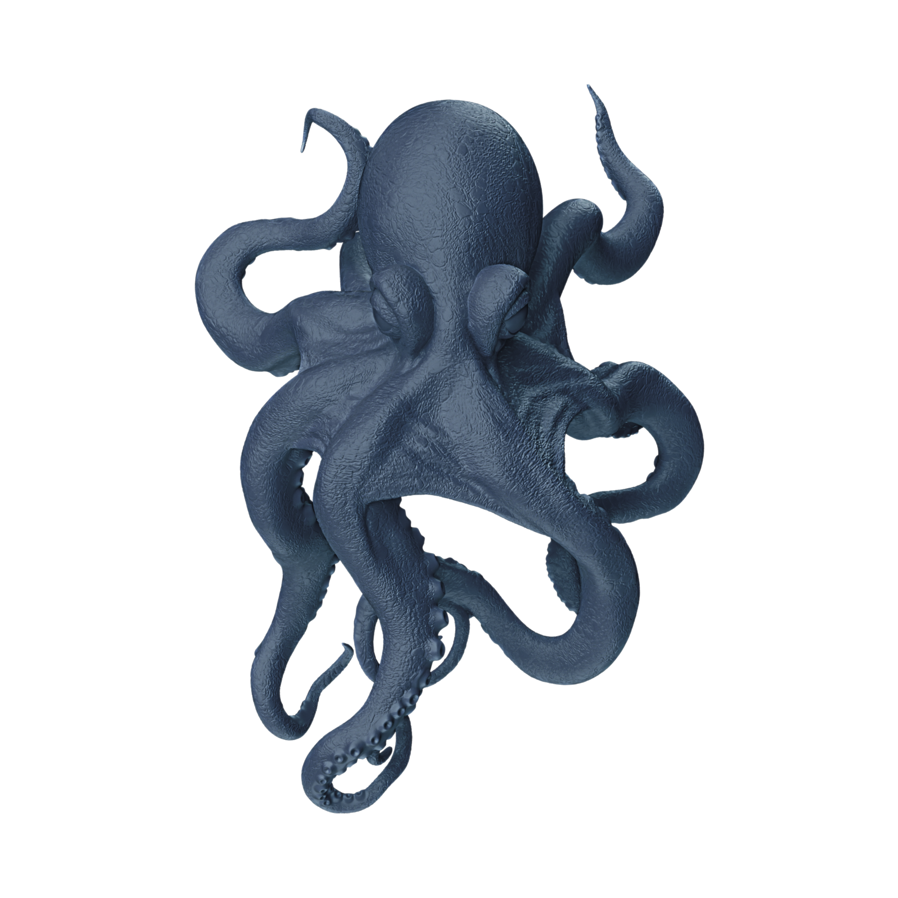 灰藍色章魚