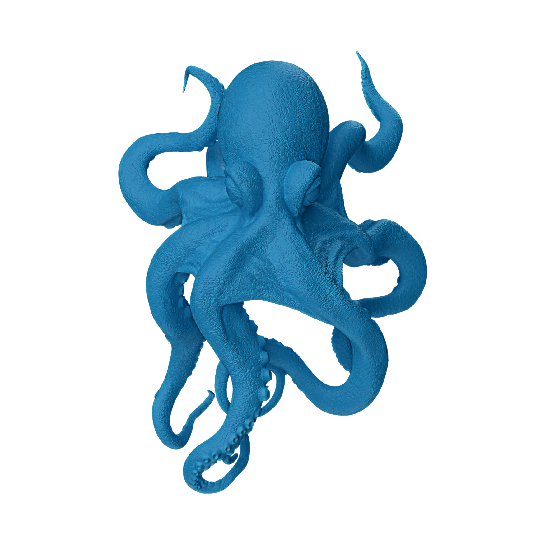 水藍色章魚